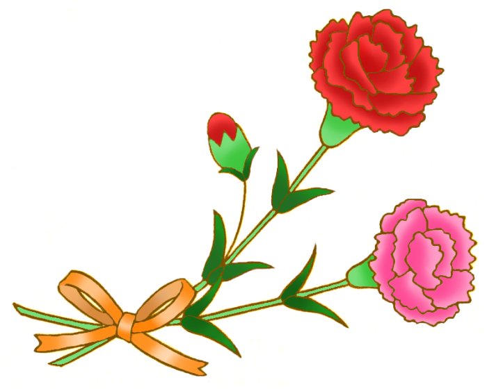 カーネーション1 2 四季の花イラスト素材 母の日用 お花と季節のお礼状