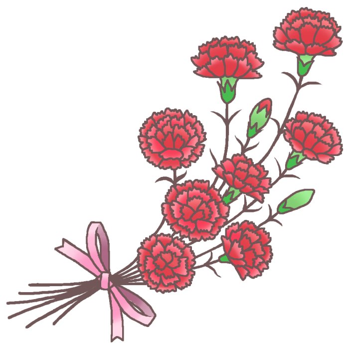カーネーション 春の花 お花と季節のお礼状 無料イラスト素材